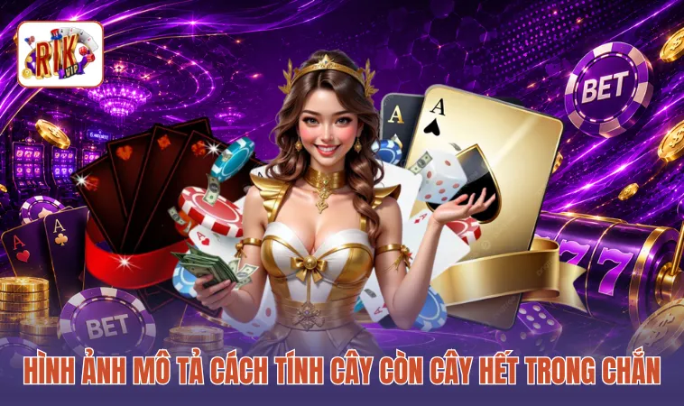 Hình ảnh mô tả cách tính cây còn cây hết trong chắn
